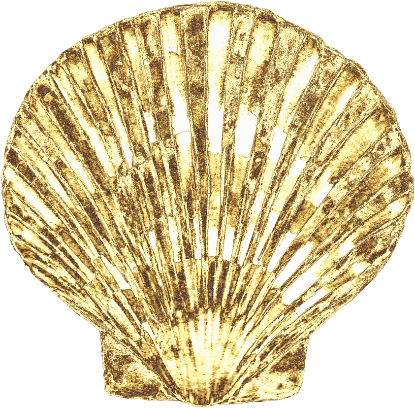 Golden luxury seashell